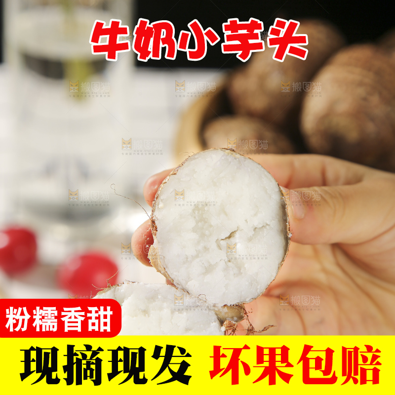 浅底上的新鲜小芋头