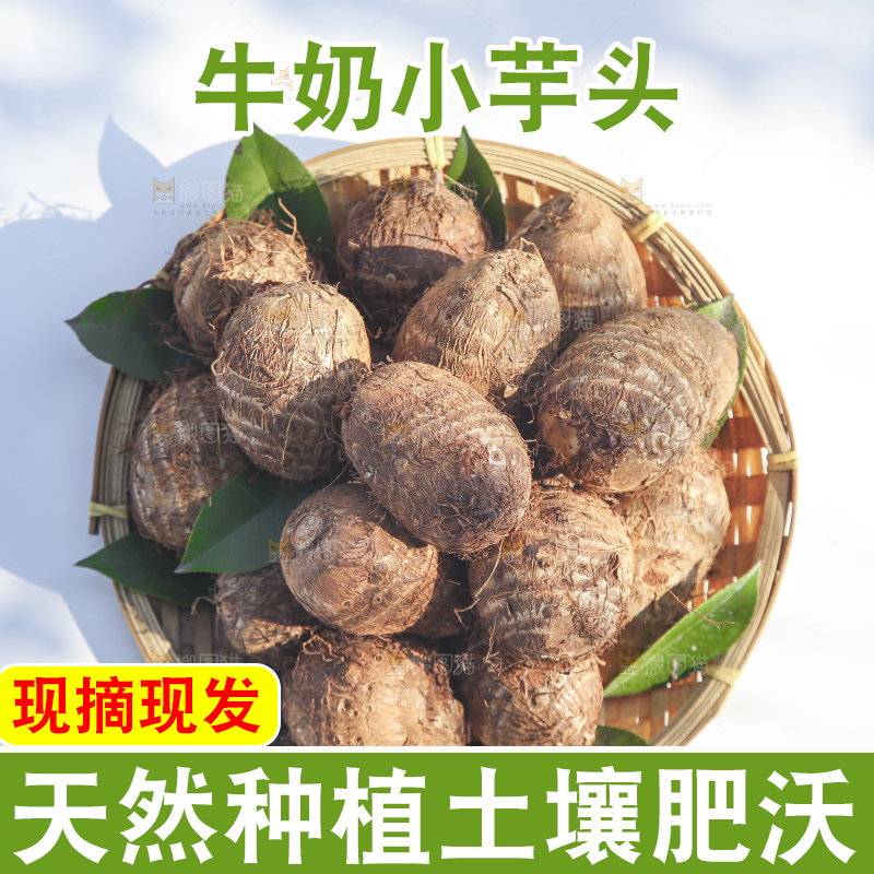 浅底上的新鲜小芋头