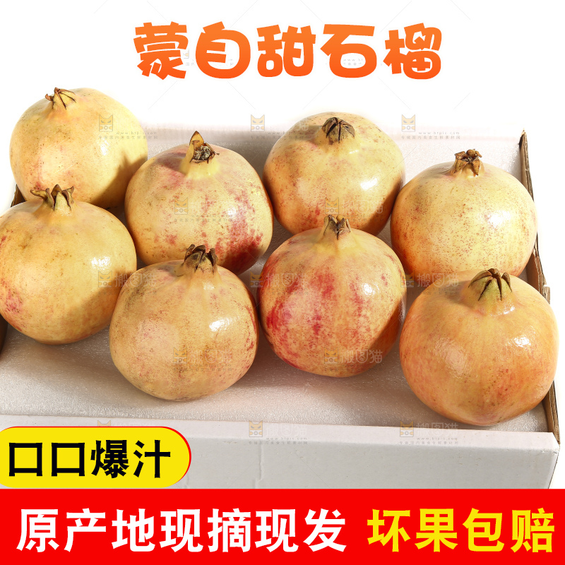 白底上的蒙自石榴