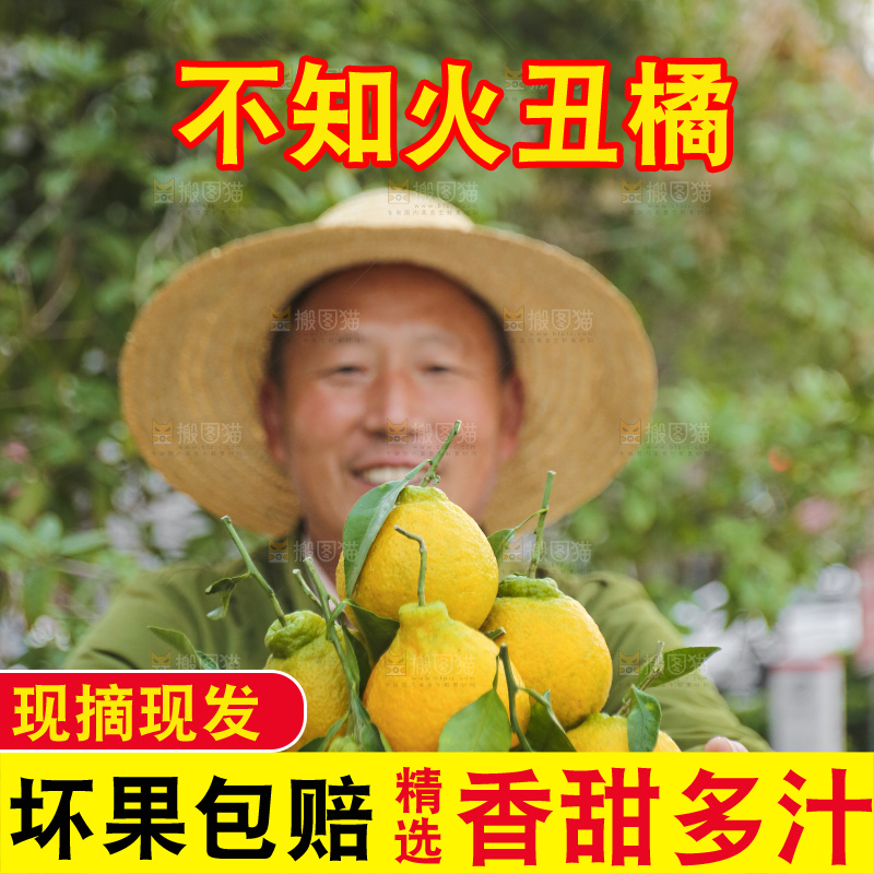 手里拿着丑八怪