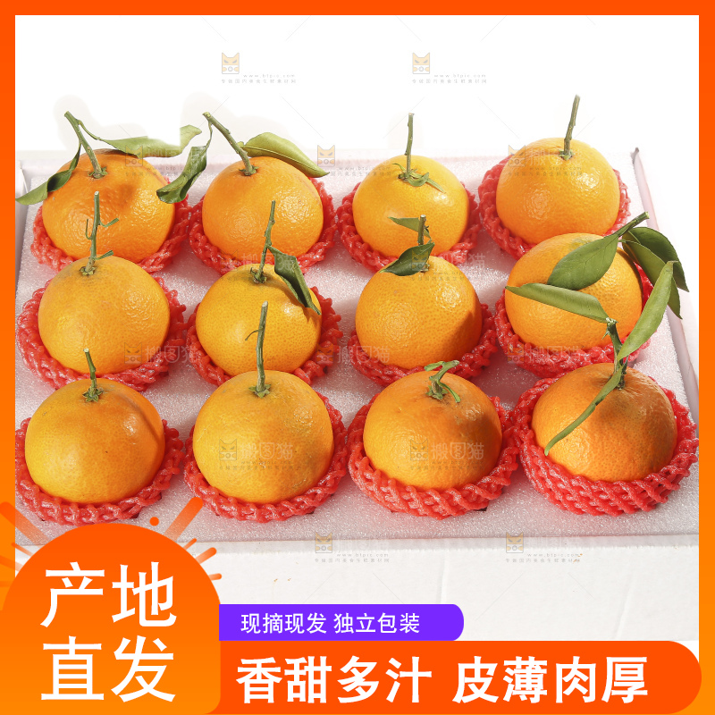 白底上的爱媛果冻橙