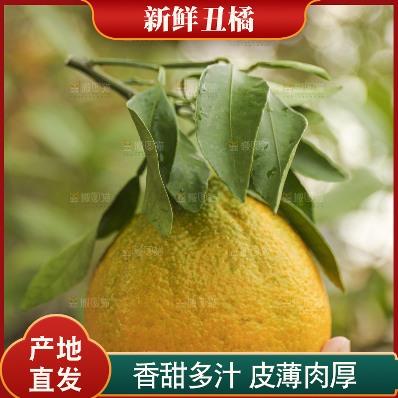 手里拿着丑八怪