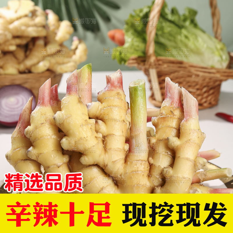 浅底上的小黄姜