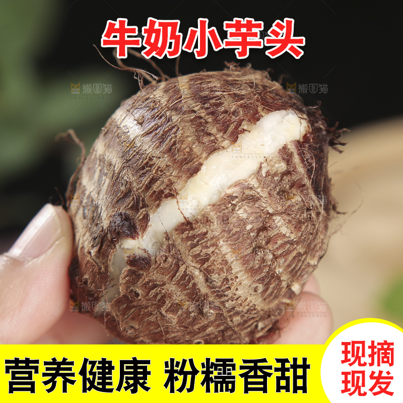 深底上的新鲜小芋头