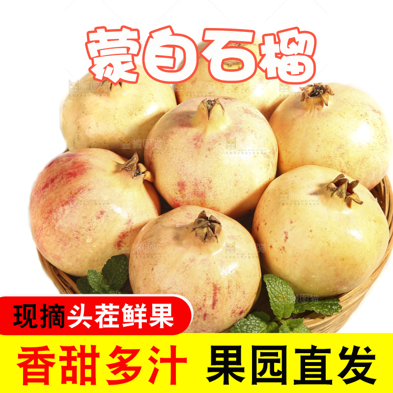 白底上的蒙自石榴