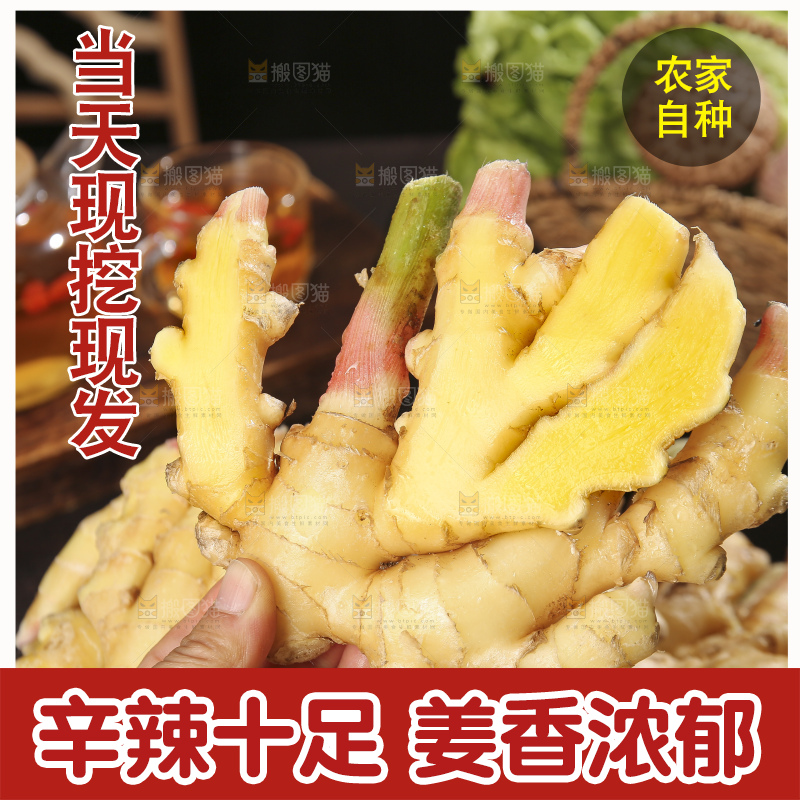 深底上的小黄姜