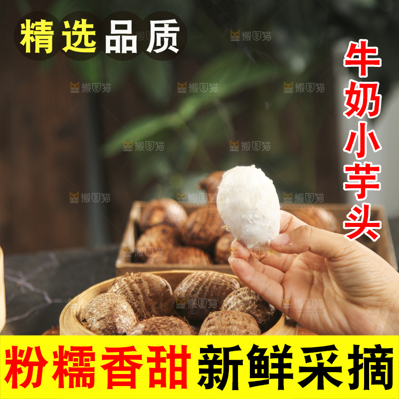 手里拿着新鲜小芋头