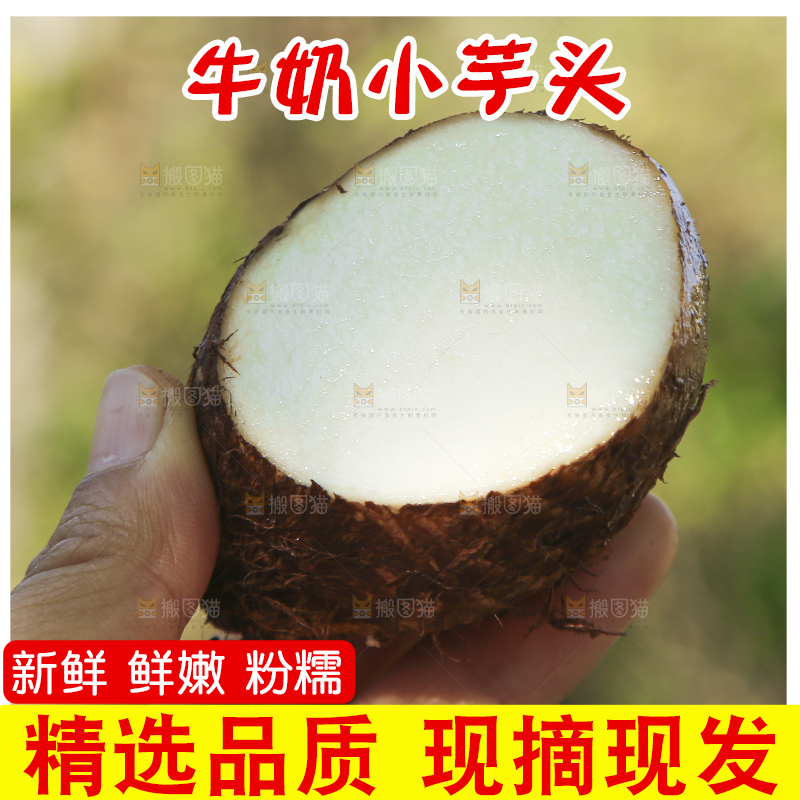 手里拿着新鲜小芋头
