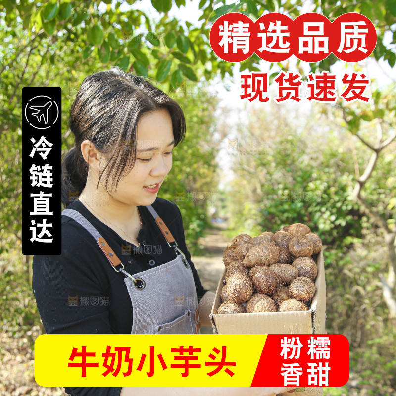 手里拿着新鲜小芋头
