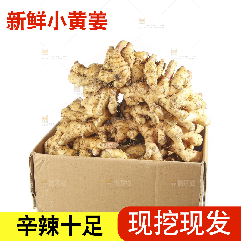 白底上的小黄姜