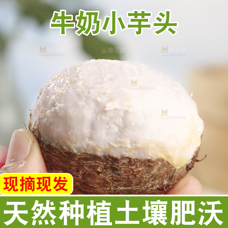 浅底上的新鲜小芋头