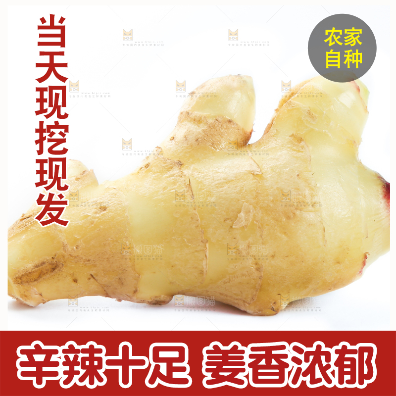 白底上摆放着生姜