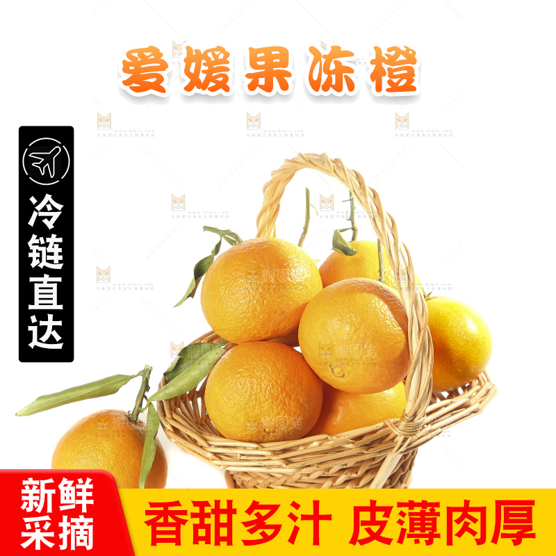 白底上的爱媛果冻橙