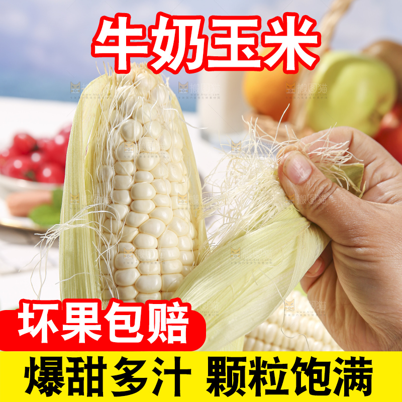 浅底上的牛奶玉米