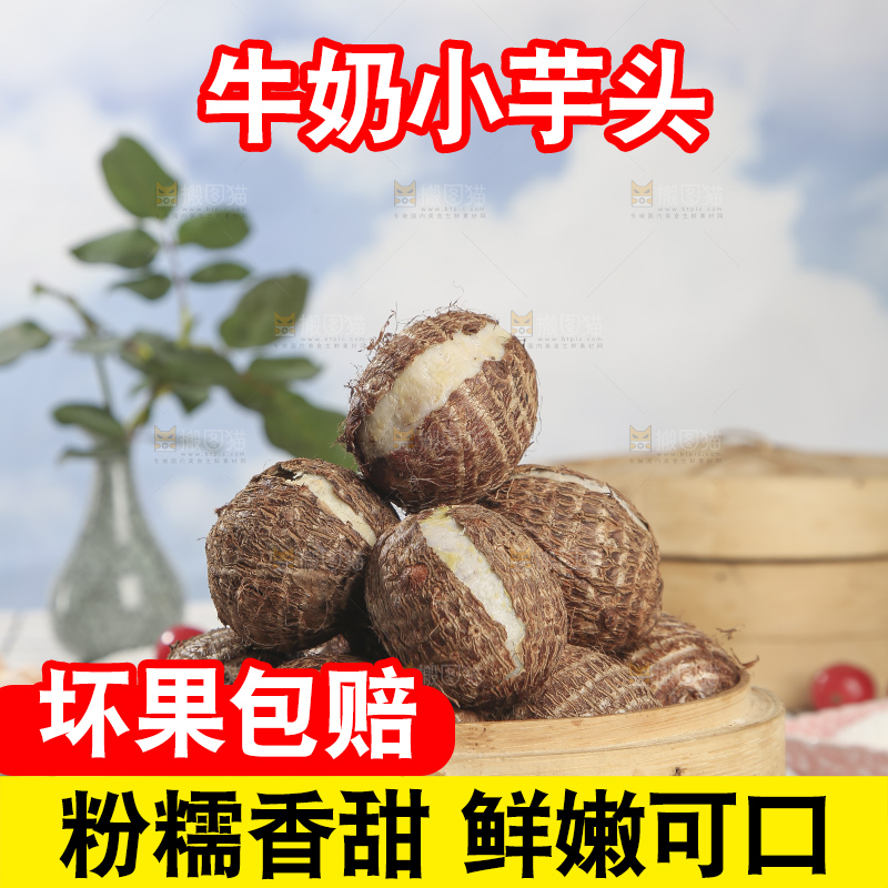 浅底上的新鲜小芋头