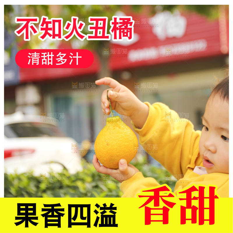 手里拿着丑八怪
