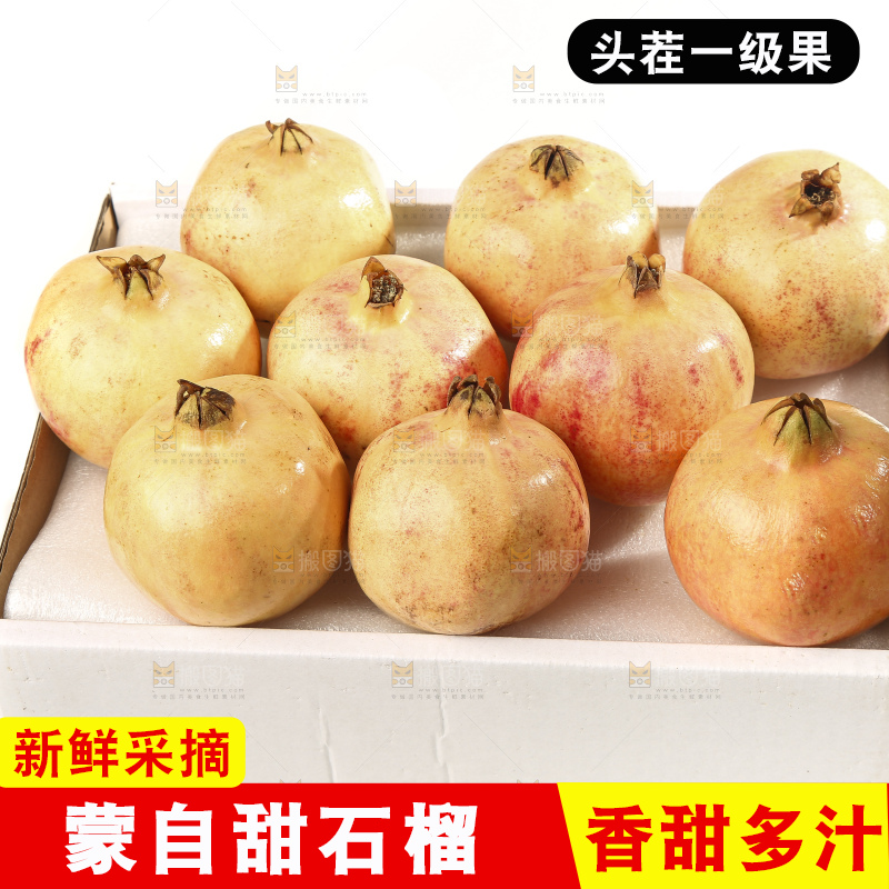 白底上的蒙自石榴