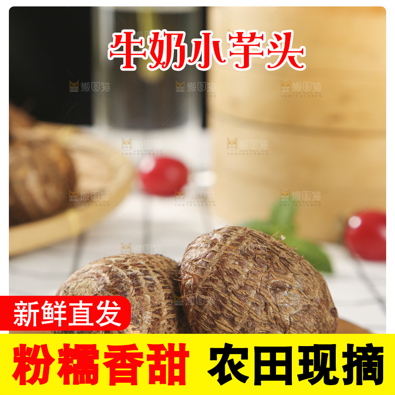 浅底上的新鲜小芋头