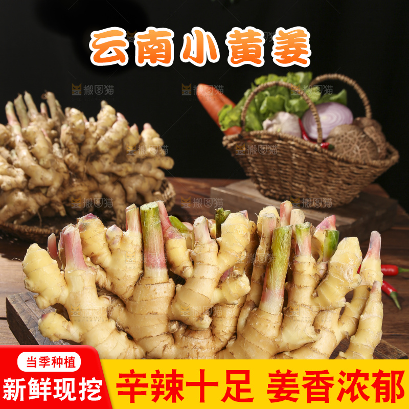 木底上的新鲜小黄姜