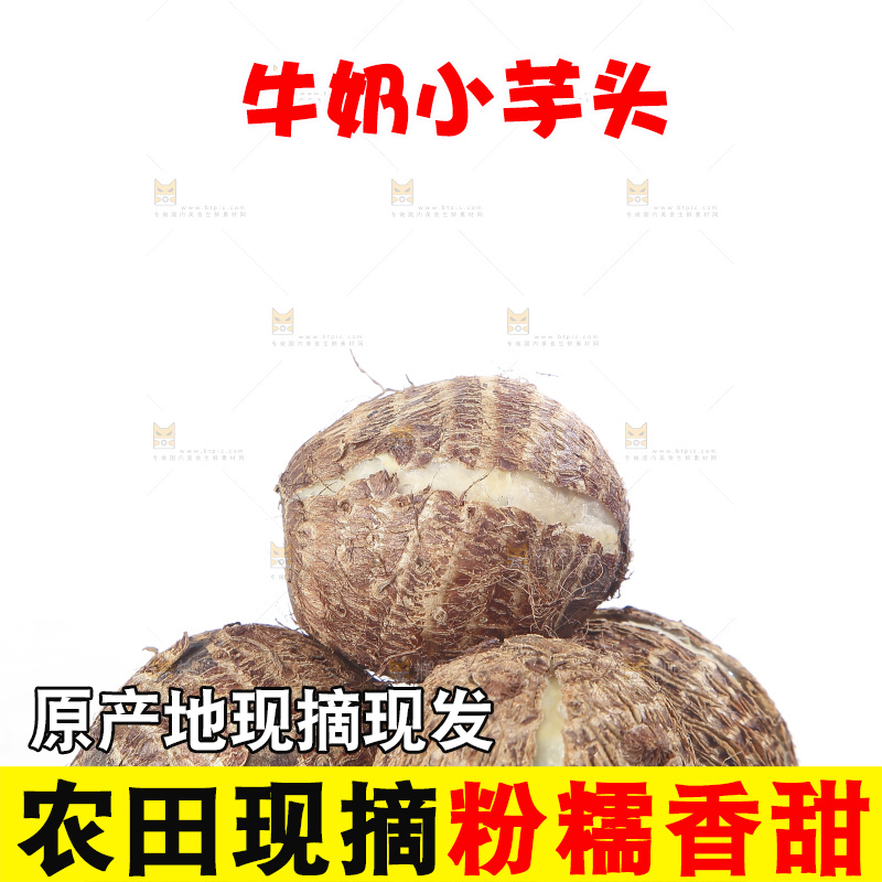 白底上的牛奶芋头