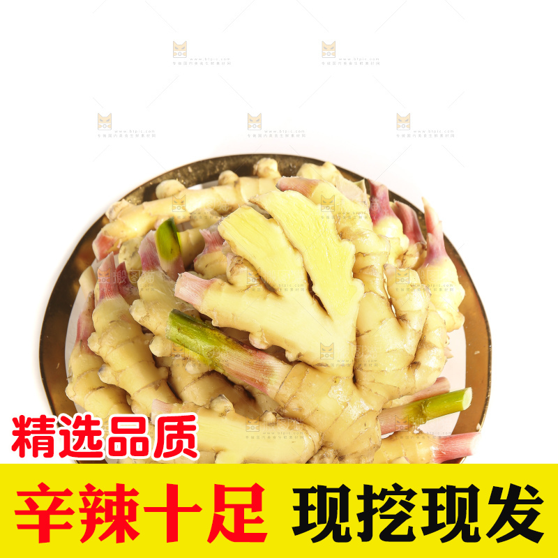 白底上的小黄姜