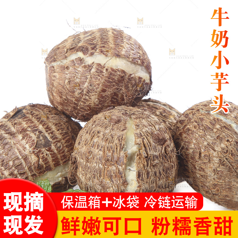 白底上的牛奶芋头