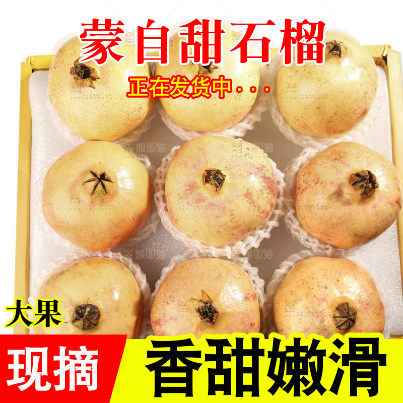 白底上的蒙自石榴