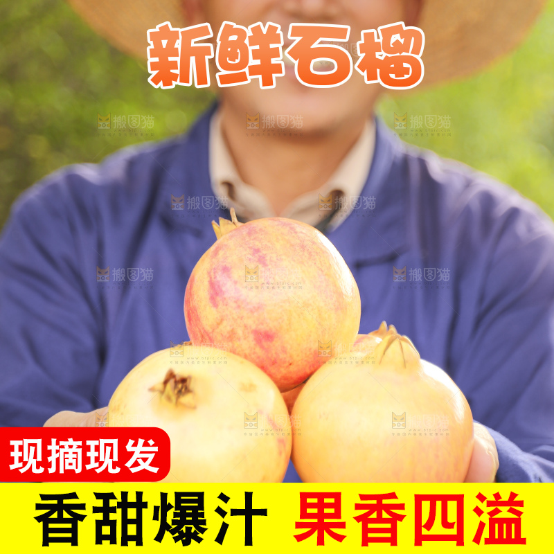 手里拿着蒙自石榴