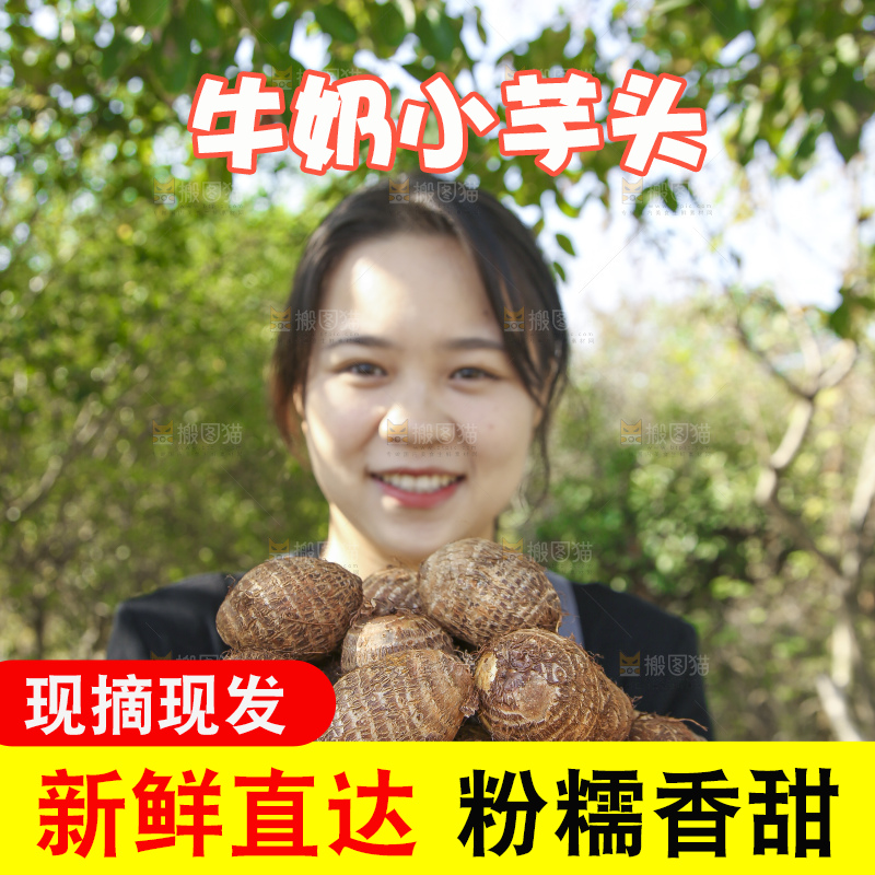 手里拿着新鲜小芋头