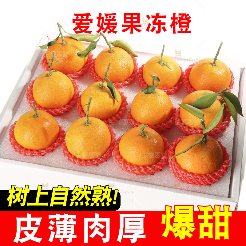 白底上的爱媛果冻橙