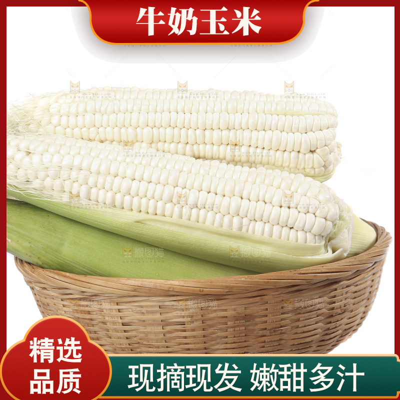 白底上的牛奶玉米