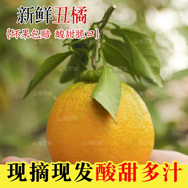 手里拿着丑八怪