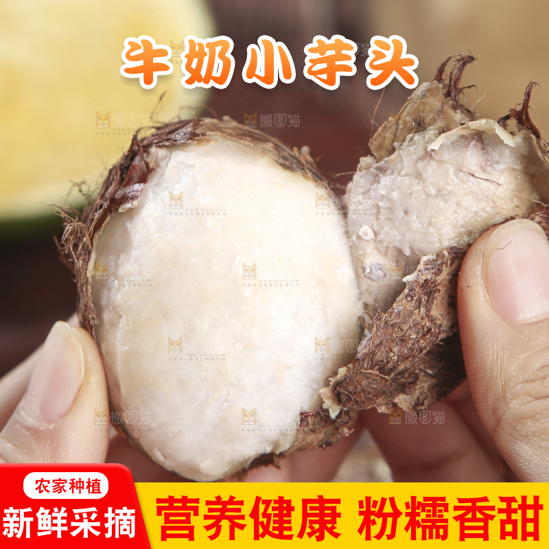 深底上的新鲜小芋头