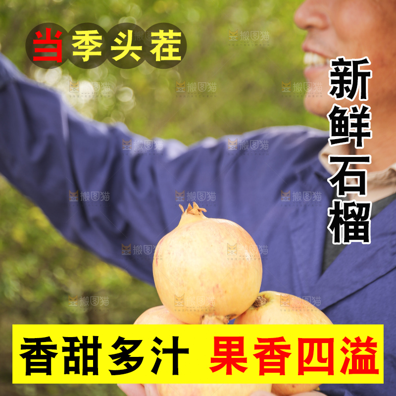手里拿着蒙自石榴