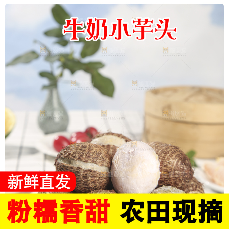 浅底上的新鲜小芋头
