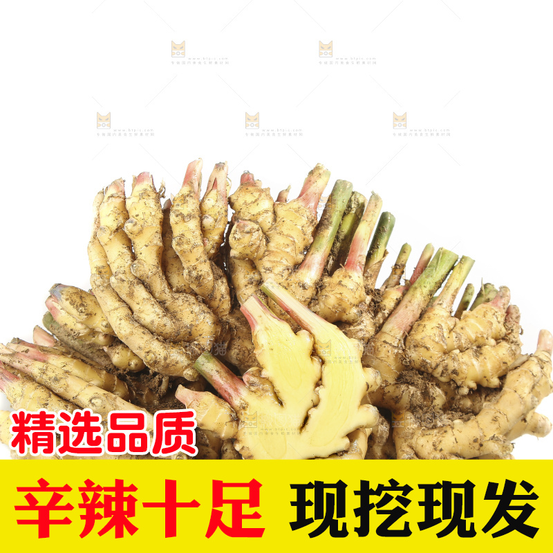 白底上的小黄姜