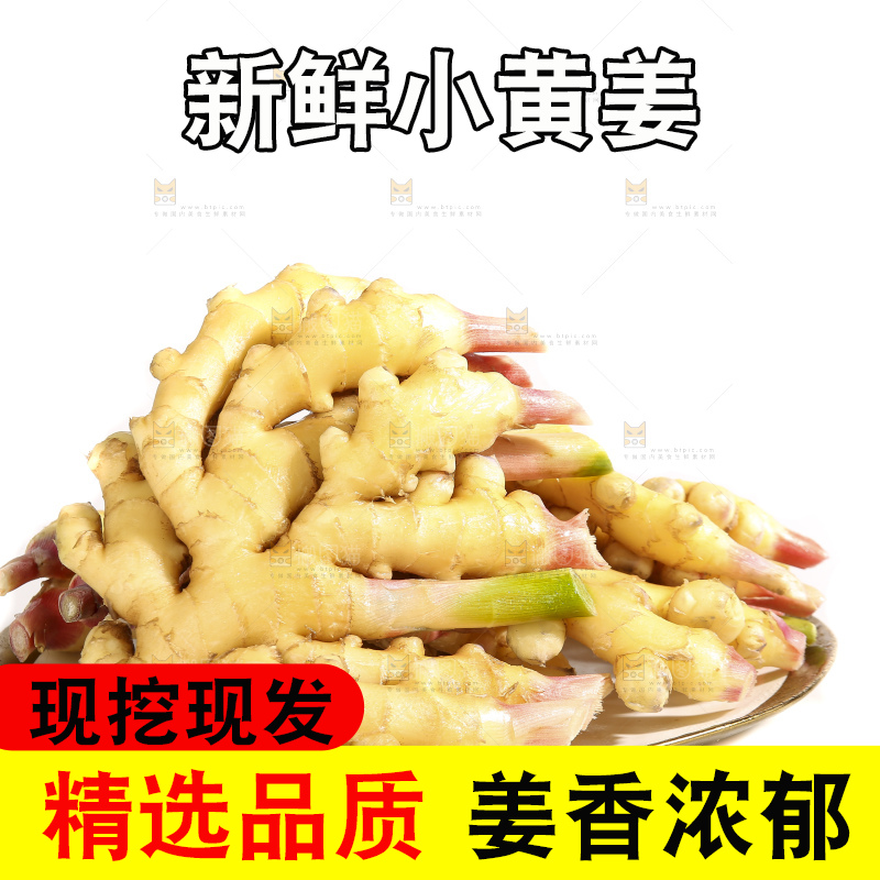 白底上的小黄姜