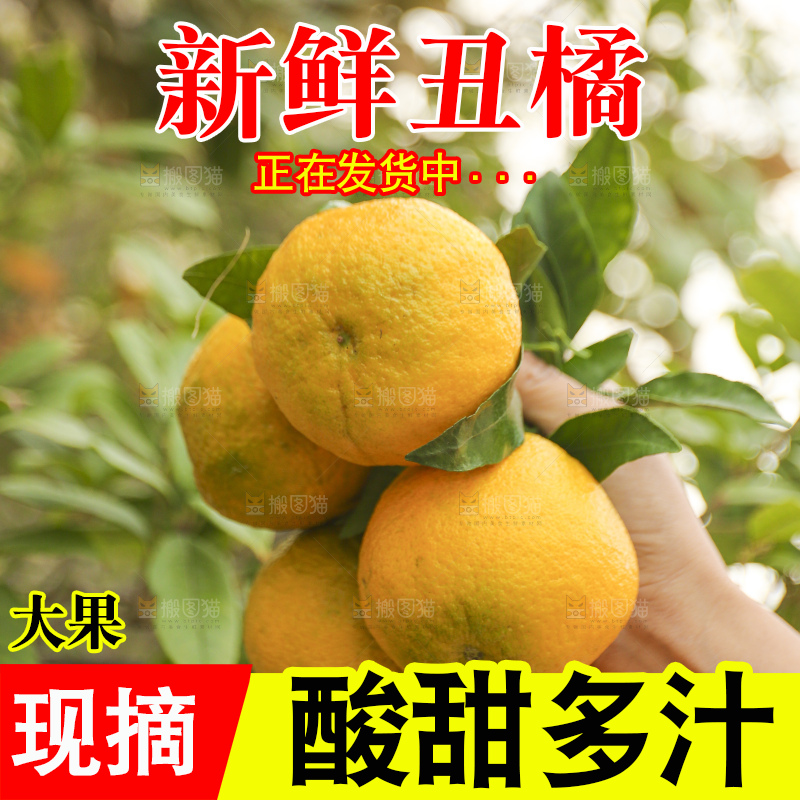 手里拿着丑八怪