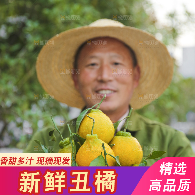 手里拿着丑八怪