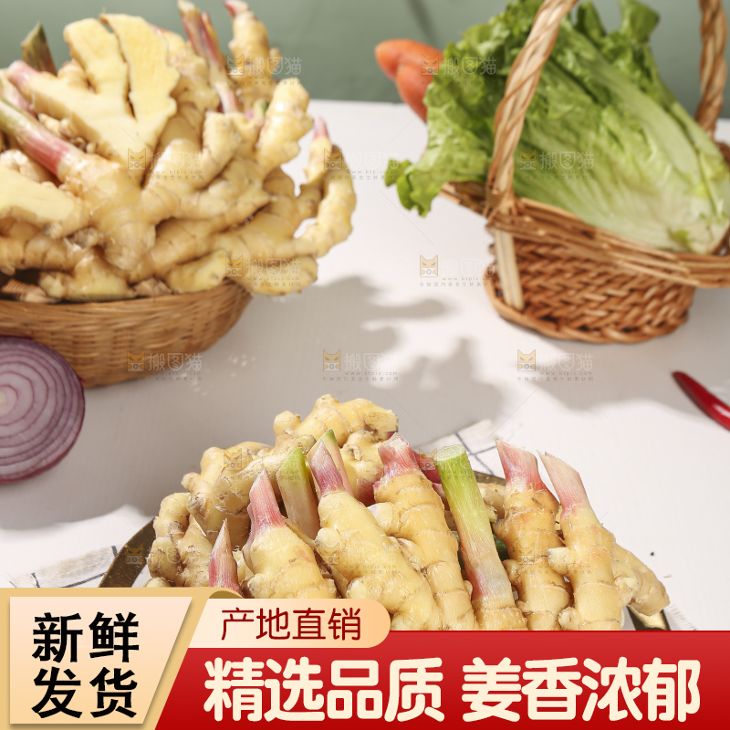 浅底上的小黄姜