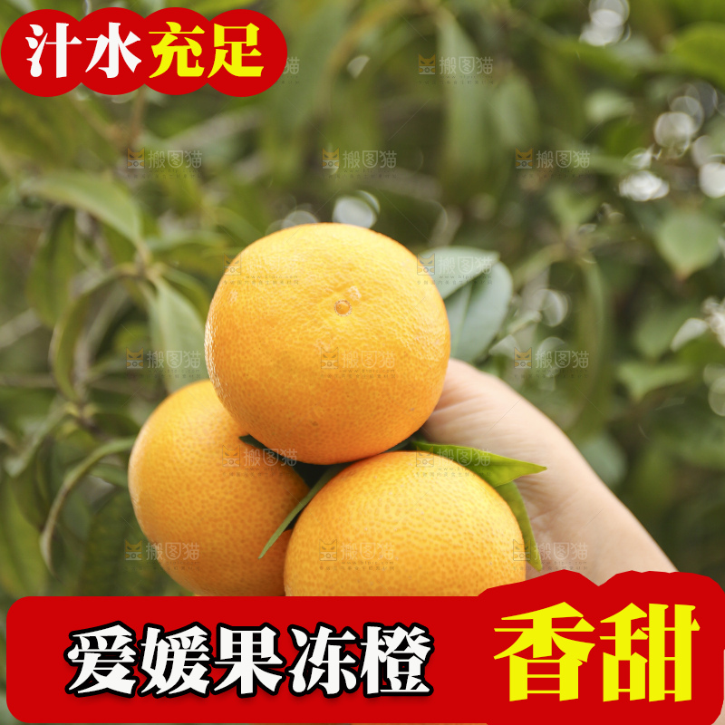 手里拿着爱媛果冻橙