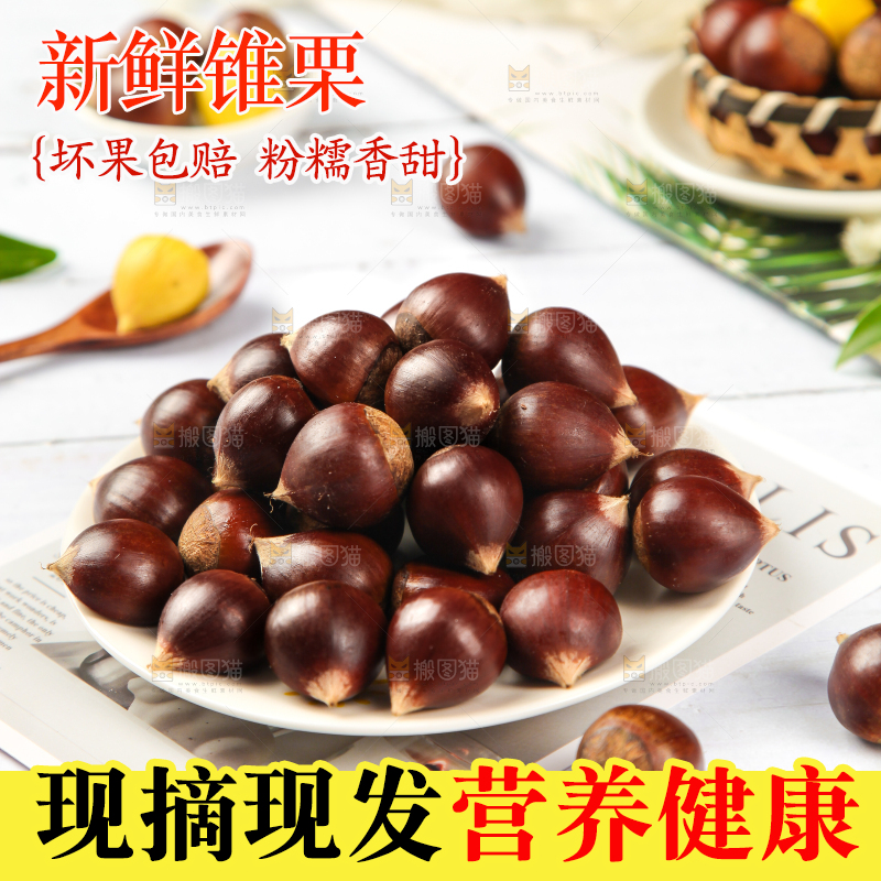 白底上放着锥栗