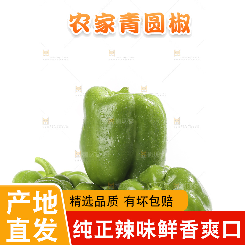 白底上的青圆椒