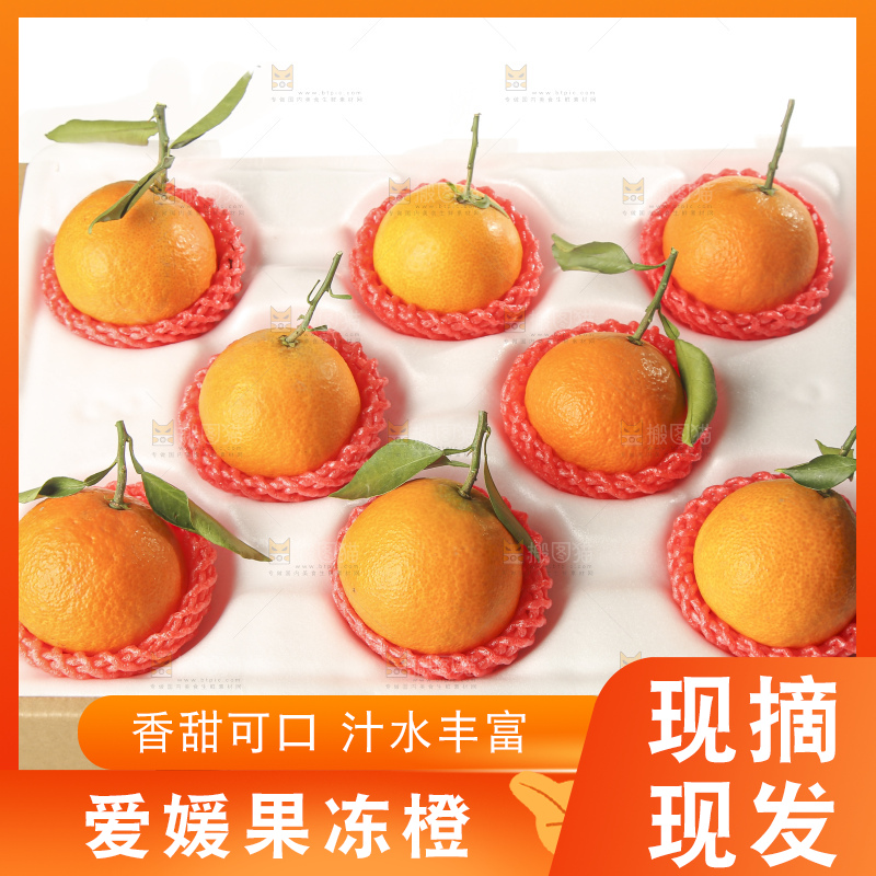 白底上的爱媛果冻橙