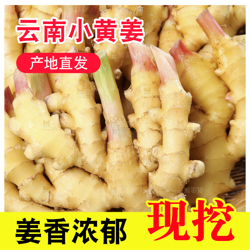 深底上的小黄姜