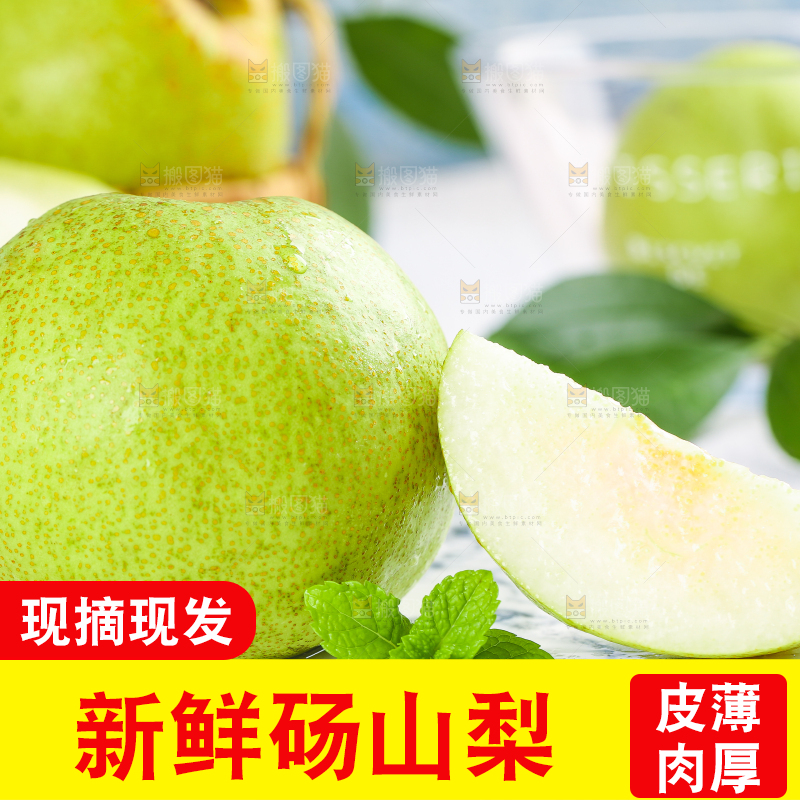 浅底上的砀山酥梨