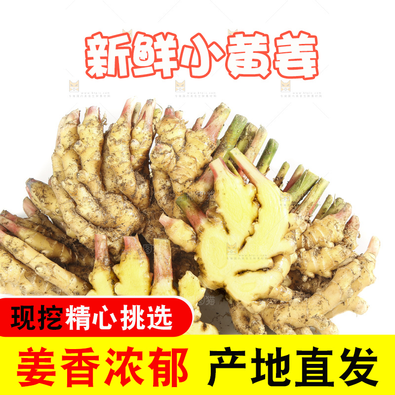白底上的小黄姜
