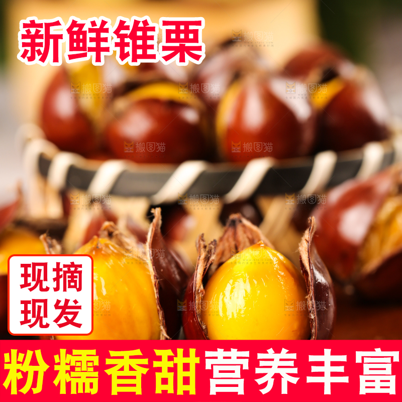深底上的油锥栗