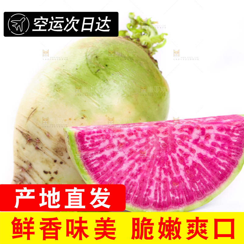 白底上的心里美萝卜