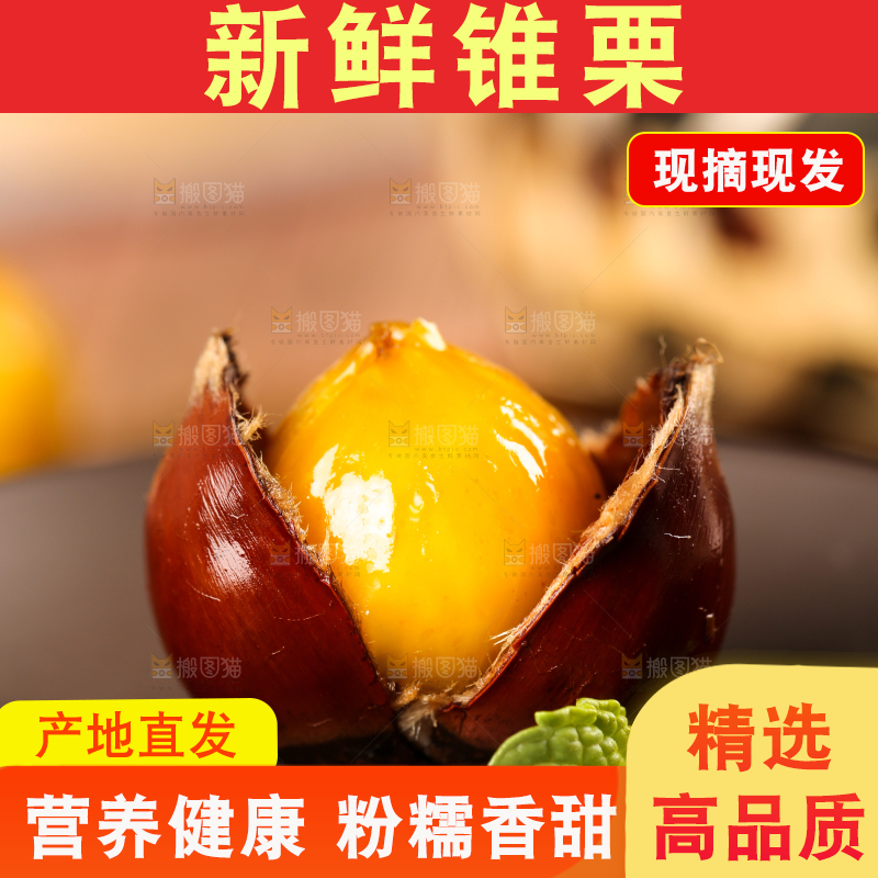 深底上的油锥栗